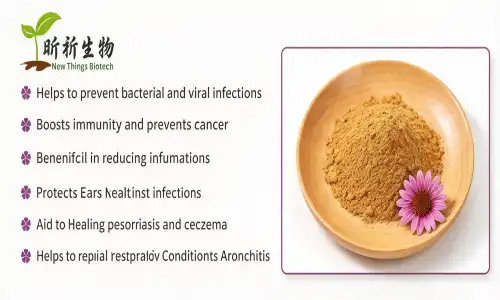 What are Echinacea Extract Powder's Key Active Components?